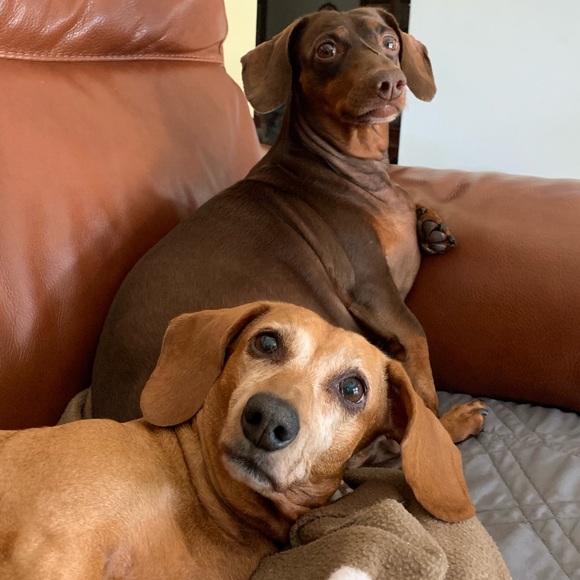 Meet your Posher, Ivan - Picture 1 of 1